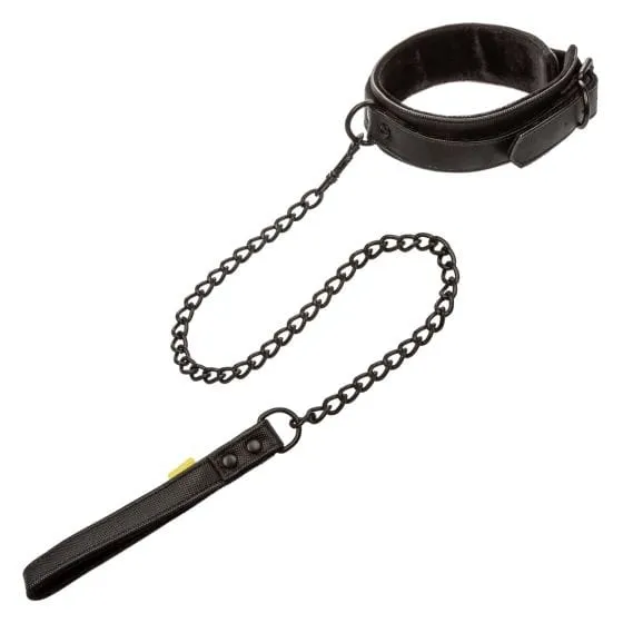 Calexotics Boundless Collar & Leash