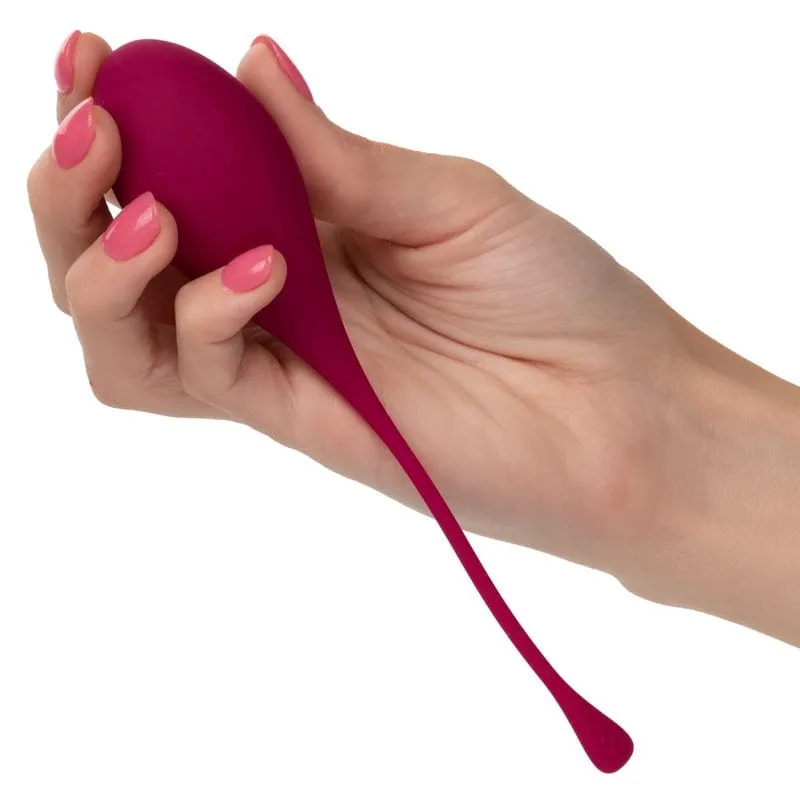 Calexotics Kegel Training 5-Piece Set