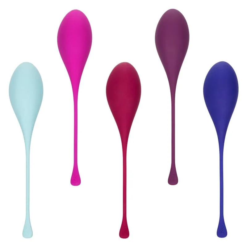 Calexotics Kegel Training 5-Piece Set