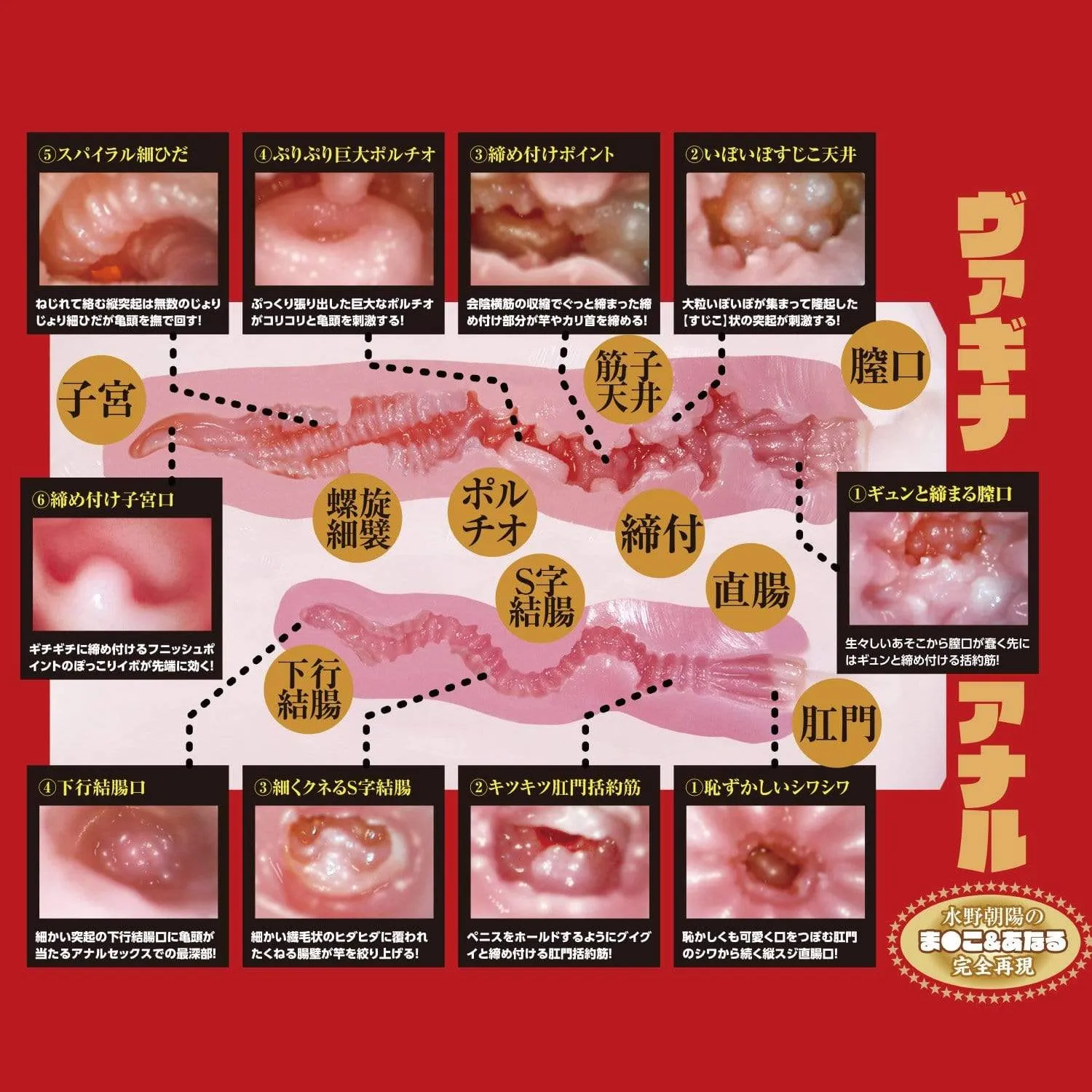 NPG - 2 Hole Third Generation Meiki Mizuno Waist Onahole Masturbator 6kg (Beige)