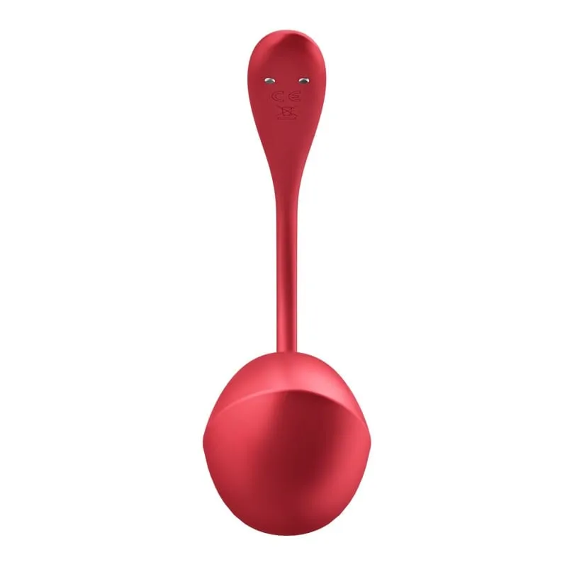 Satisfyer Shiny Petal Wearable Vibrator