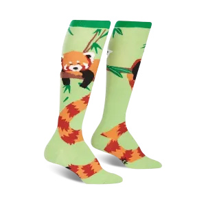 Tale of the Red Panda